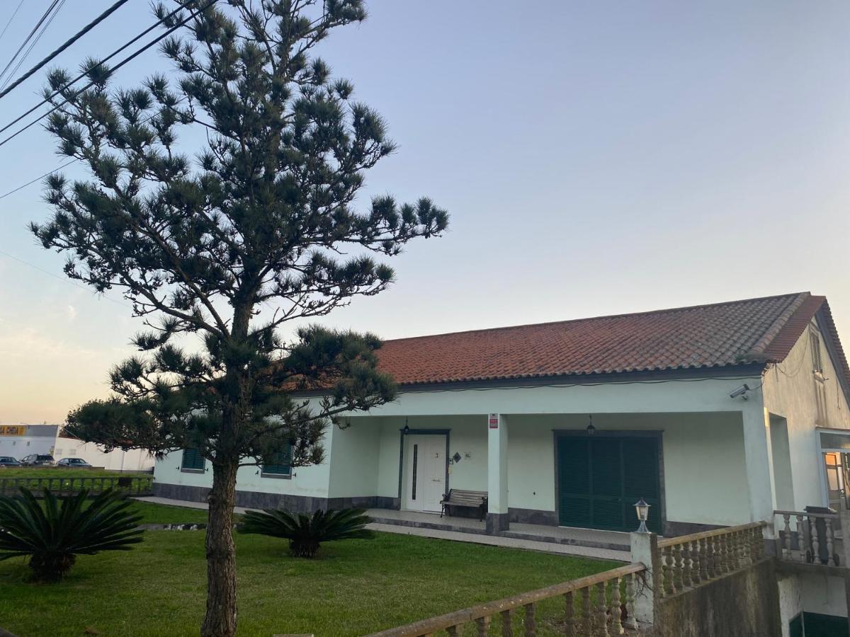 Green Tropical House Ponta Delgada  Ngoại thất bức ảnh