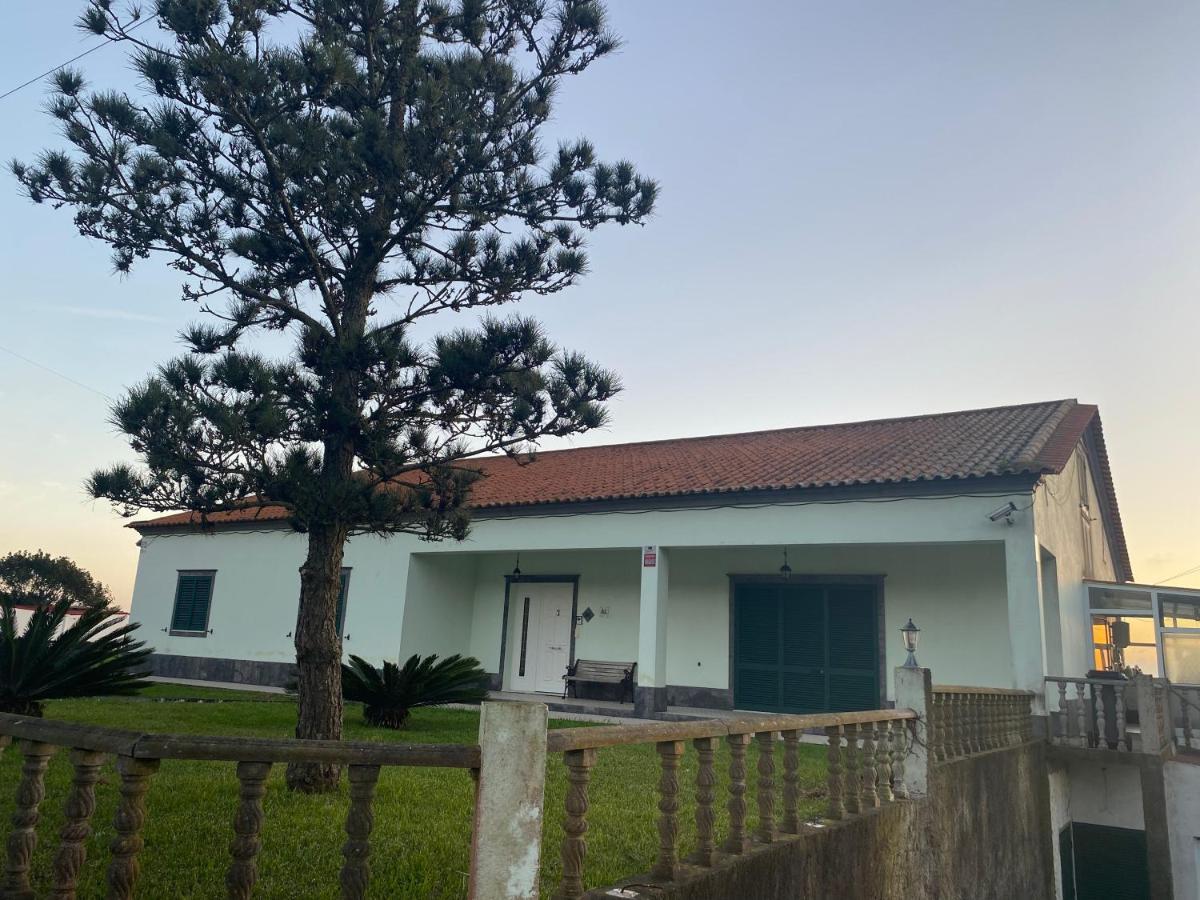 Green Tropical House Ponta Delgada  Ngoại thất bức ảnh